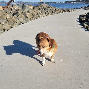 Meet your Posher, Tina